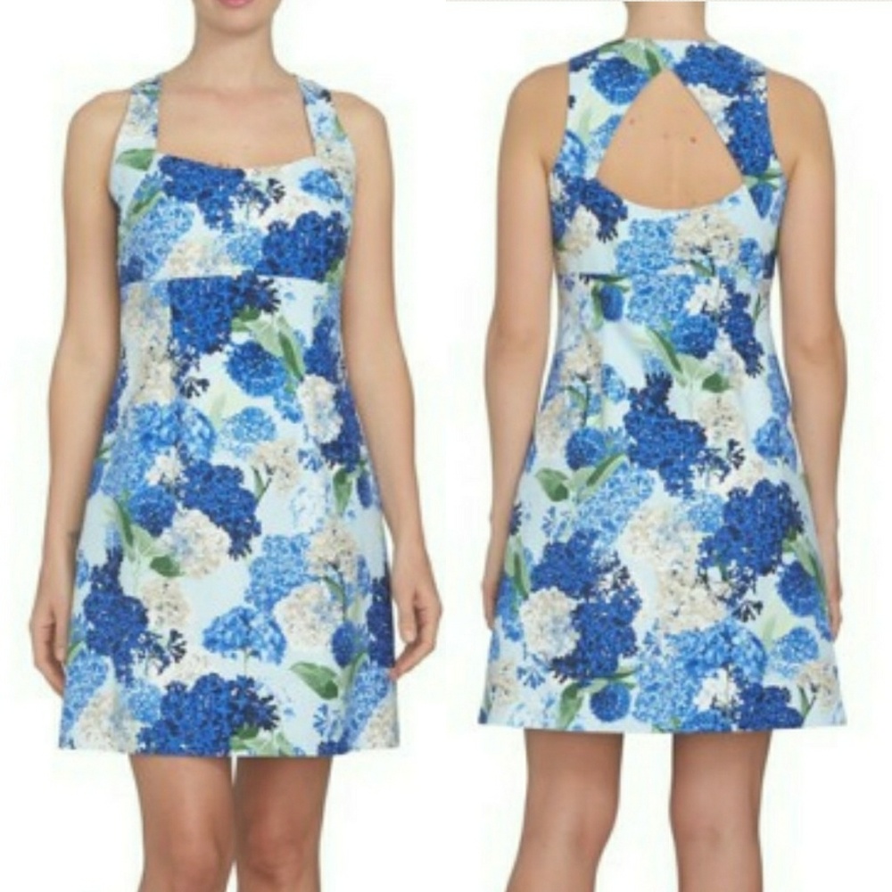 CeCe by Cynthia Steffe Fit & Flare Dress